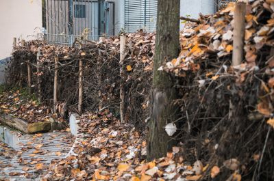 gartenrevolte Fachschule Mannheim