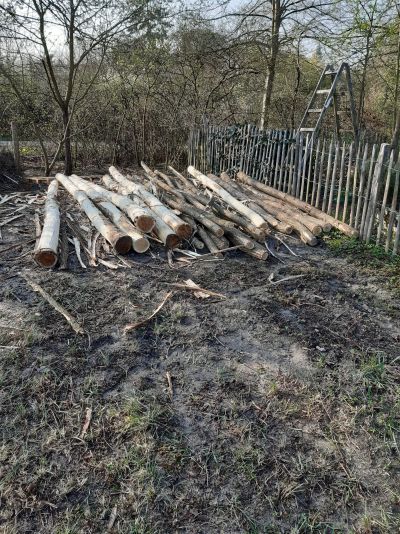 gartenrevolte Hummelgarten Speyer