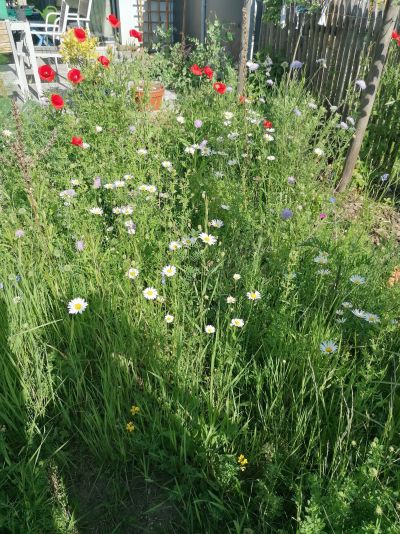 gartenrevolte Garten Speyer