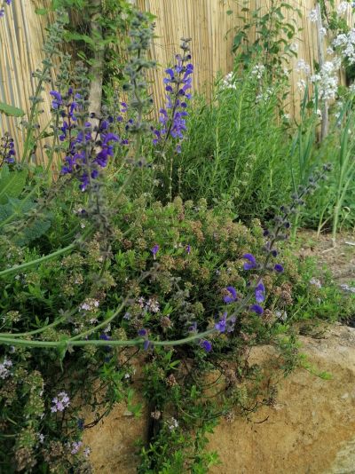 gartenrevolte Garten Speyer