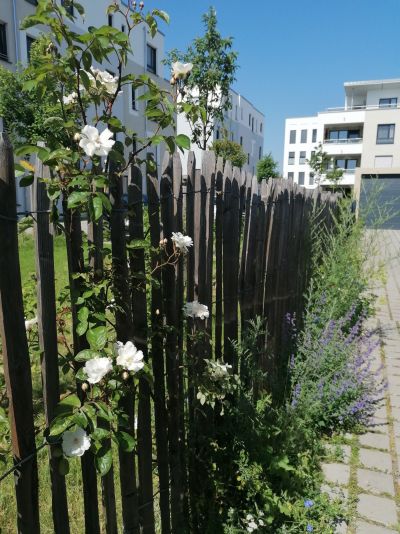 gartenrevolte Garten Speyer