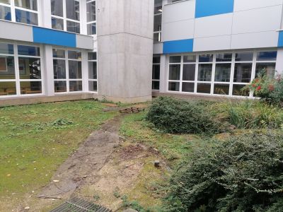 gartenrevolte Purrmann Speyer