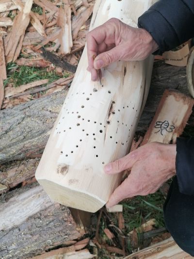 gartenrevolte Hummelgarten Speyer