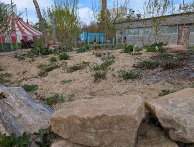 gartenrevolte Hummelgarten Speyer