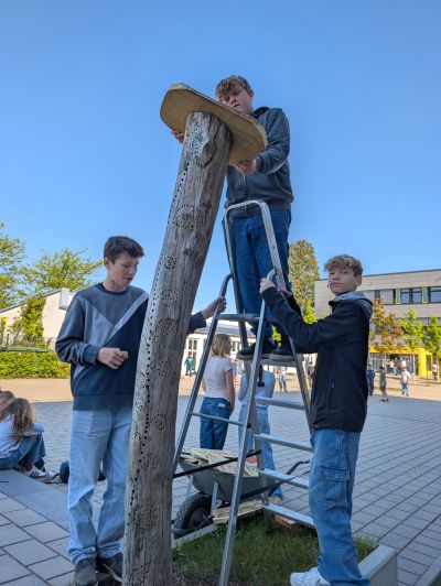 gartenrevolte Gemeinschaftsschule Wiesloch