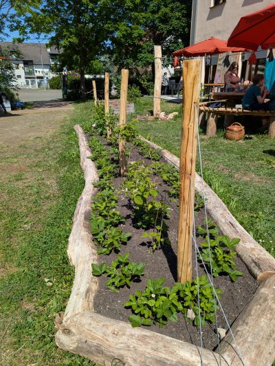 gartenrevolte Fachschule Mannheim