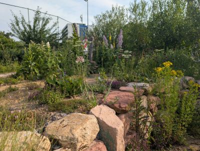 gartenrevolte Hummelgarten Speyer