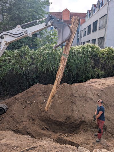 gartenrevolte Fachschule Mannheim