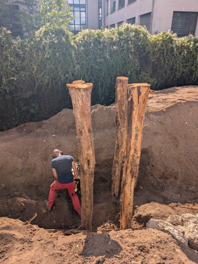 gartenrevolte Fachschule Mannheim