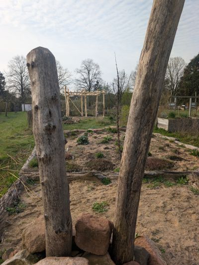 gartenrevolte Hummelgarten Speyer