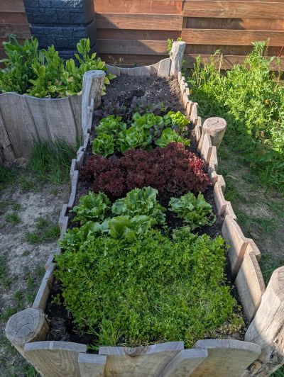 gartenrevolte Maxdorf