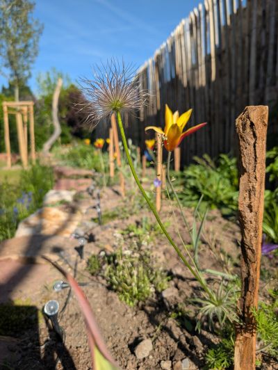 gartenrevolte Maxdorf